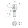 M14x1,25-skrue / 45 mm / til smalle huller / Torx - (galvaniseret) - Carbonado